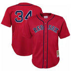 Boston Red Sox #34 David Ortiz Player Red BUTLER Mitchell & Ness Cooperstown Collection Mesh Home Stitched Jerseys