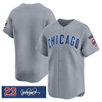 Chicago Cubs Blank Gray BUTLER 'Ryne Sandberg Tribute' Vapor Limited V3 Stitched Jersey